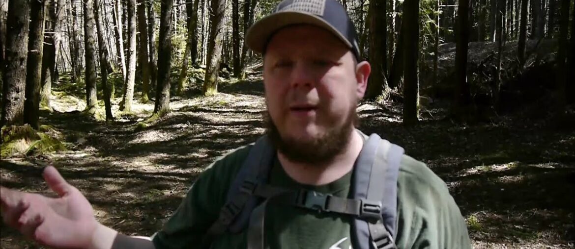 Checking on Morels Checking on Morels