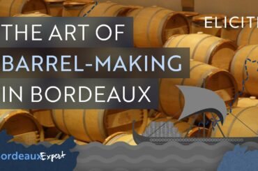 The Use of Oak in Winemaking & Barrel Making