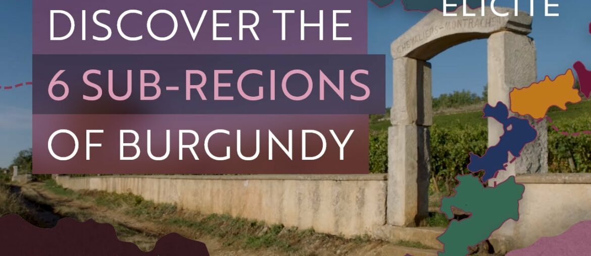 What Are The Wine Sub-Regions Of Burgundy? What Are The Wine Sub-Regions Of Burgundy?