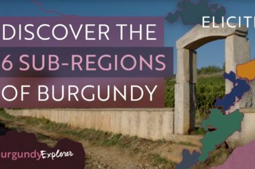 What Are The Wine Sub-Regions Of Burgundy?