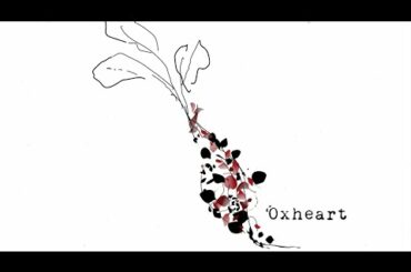 VEGAN FINE DINING @ OXHEART