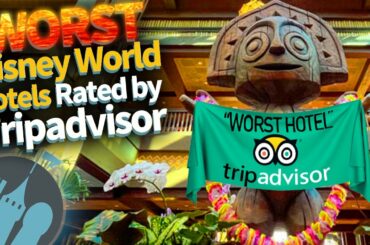 WORST Disney World Hotels Rated by Trip Advisor