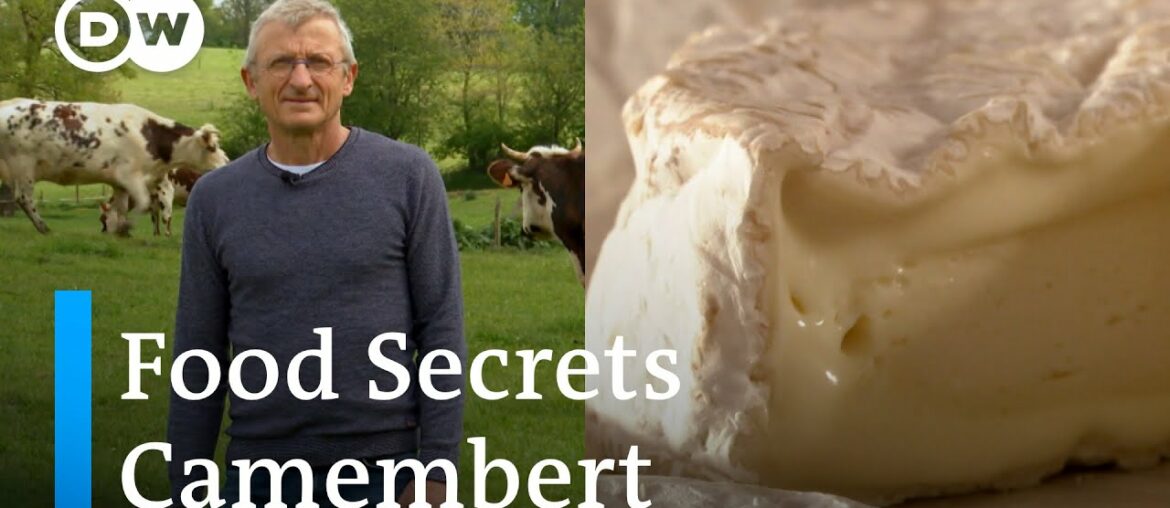 How Traditional French Camembert Is Made | Food Secrets Ep. 11