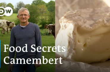 How Traditional French Camembert Is Made | Food Secrets Ep. 11