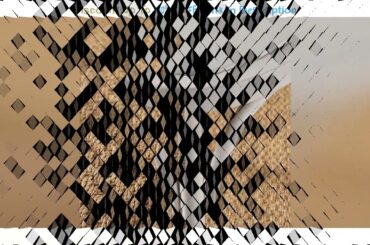 Lowest Price Christopher Knight Home Shiloh Farmhouse Plastic Nylon Dining Chairs, 2-Pcs Set, Frenc