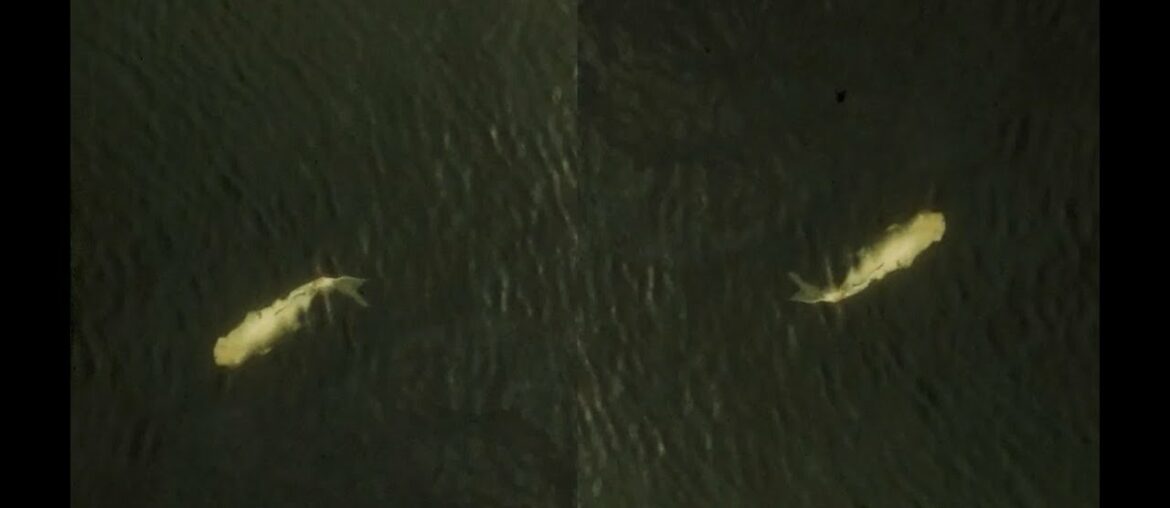 Hide-and-Seek - MOYOGI