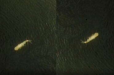 Hide-and-Seek - MOYOGI