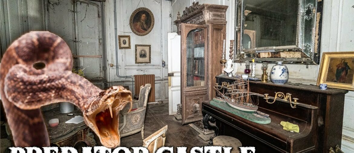 Mystifying Abandoned Predator CASTLE in France | 15TH-CENTURY TIME TREASURE Mystifying Abandoned Predator CASTLE in France | 15TH-CENTURY TIME TREASURE