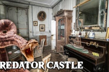 Mystifying Abandoned Predator CASTLE in France | 15TH-CENTURY TIME TREASURE