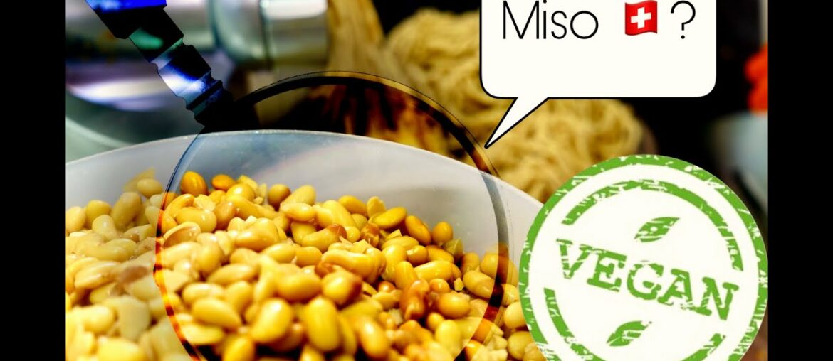 I found REAL MISO in Switzerland! What is the secret of this Japanese star food? PART 1