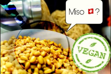 I found REAL MISO in Switzerland! What is the secret of this Japanese star food? PART 1