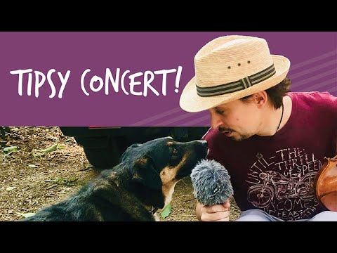 S1EP3: MusiKaravan – Bus Life in Wine Country S1EP3: MusiKaravan - Bus Life in Wine Country