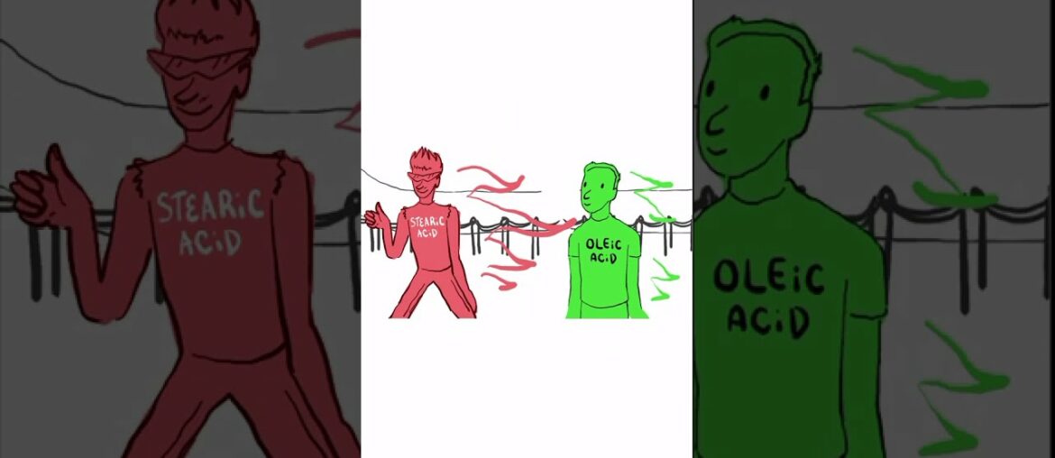 Brad Explains The French Paradox.  Chapter 1.   Club Mitochondria.