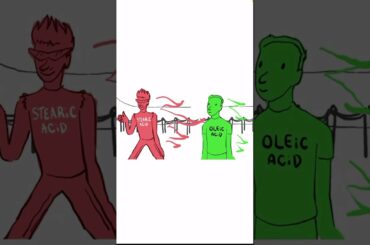 Brad Explains The French Paradox.  Chapter 1.   Club Mitochondria.