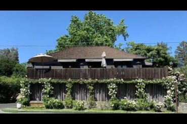 An amazing dining experience at the French Laundry!