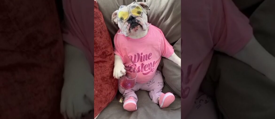 National wine day - eggnog and igloo bulldog