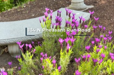 134 N Pheasant Run Road, Coupville