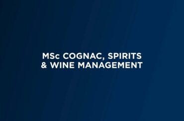 Audencia  MSc Cognac, Spirits & Wine Management -  Olga KAPITSKAIA - Academic director