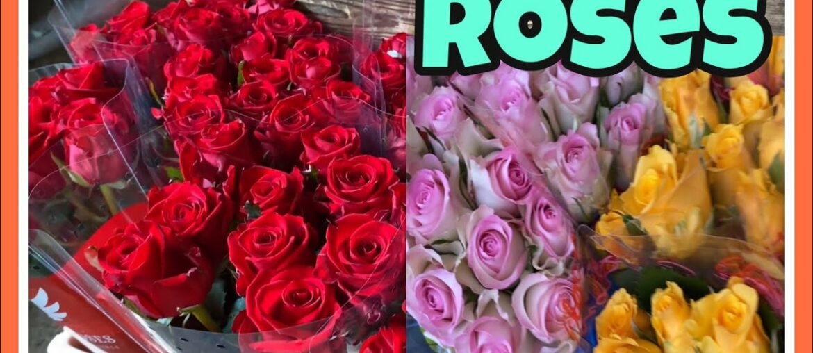 HOW TO REMOVE ROSE THORNS | FAMILY WINTER HANDS ON SA FLOWER BUSINESS |PREPARING ROSES FOR GERMANY HOW TO REMOVE ROSE THORNS | FAMILY WINTER HANDS ON SA FLOWER BUSINESS |PREPARING ROSES FOR GERMANY
