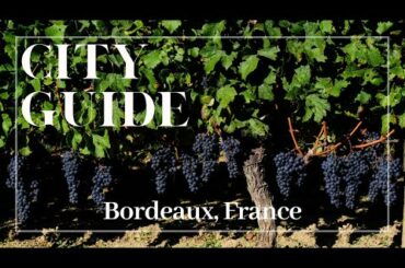 Bordeaux City Guide
