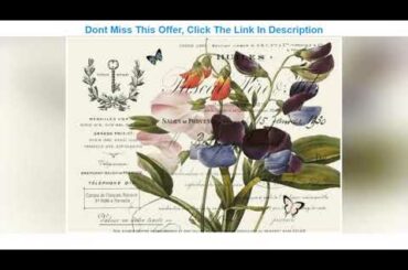 Exclusive Monahan Papers 50 French Country Disposable Paper Placemats for Table | Purple and Pink S