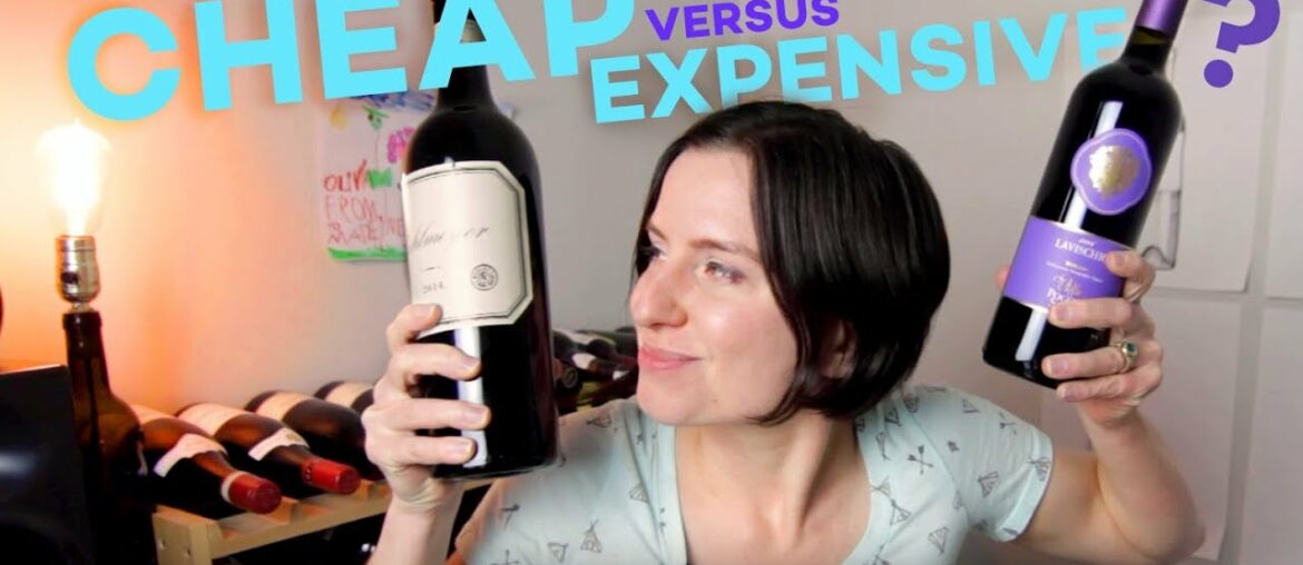 Cheap vs Expensive Wine - What You're Missing