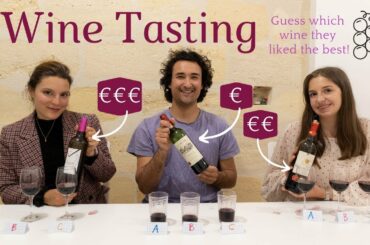 Vlog #74 - Bordeaux Wine Tasting Experiment - most expensive one? *FAIL* *need to watch*