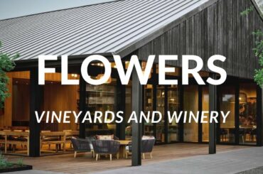 Stunning, Award Winning California Wineries with Fabulous Pairings