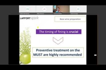 Sparkling Wine Tirage 1 - Wine Stability