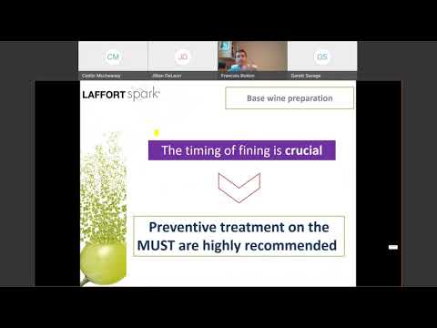 Sparkling Wine Tirage 1 – Wine Stability Sparkling Wine Tirage 1 - Wine Stability