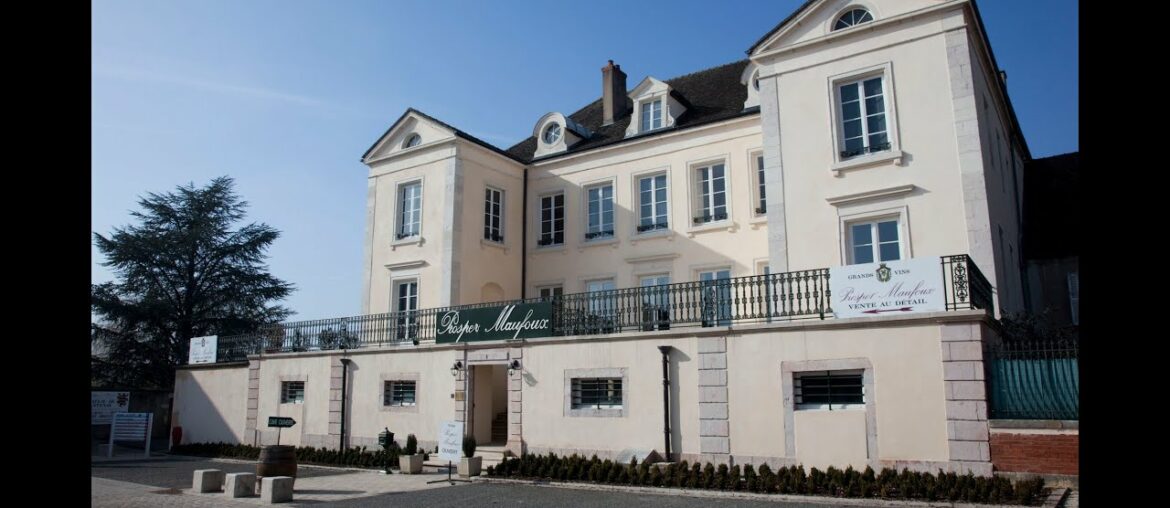 Tasting with Nadine Gublin: First Female Winemaker of the Year by La Revue du Vin de France