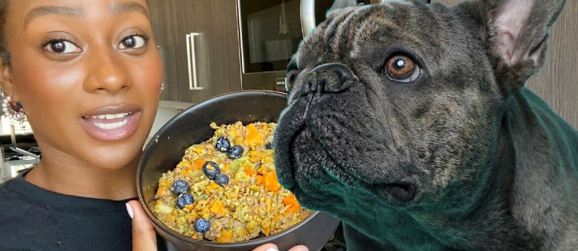 HOW TO MAKE DOG FOOD UNDER A BUDGET FOR FRENCH BULLDOGS! HOW TO MAKE DOG FOOD UNDER A BUDGET FOR FRENCH BULLDOGS!