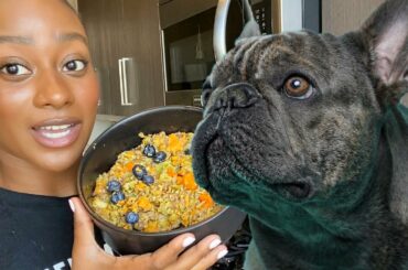 HOW TO MAKE DOG FOOD UNDER A BUDGET FOR FRENCH BULLDOGS!
