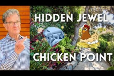 115 Oak Dr, San Rafael CA | Homes for Sale | Vintage home with garden studio