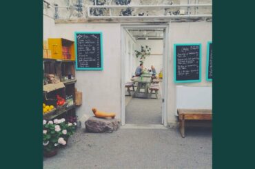 Distinguished Ambiance for Fine Dining