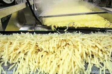 Awesome Automatic Potato Processing and French Fries Making Machines in Food Factory