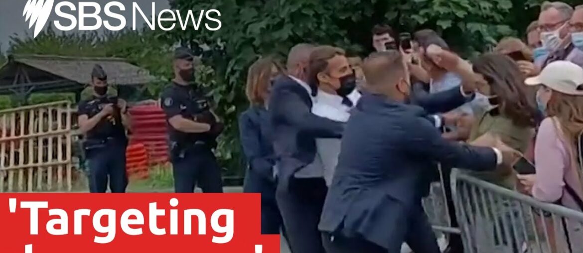Macron slapped during official visit in France | SBS News Macron slapped during official visit in France | SBS News