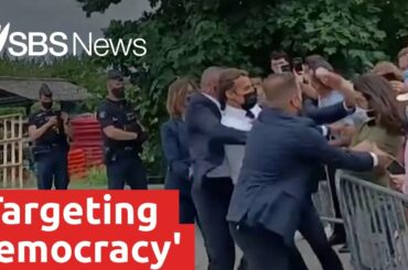 Macron slapped during official visit in France | SBS News