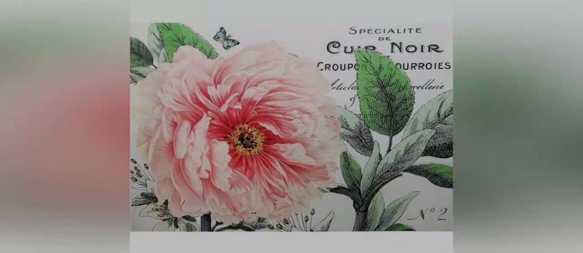 New Deal Monahan Papers 50 French Country Pink Peony Paper Disposable Placemats for Table | Vintage New Deal Monahan Papers 50 French Country Pink Peony Paper Disposable Placemats for Table | Vintage