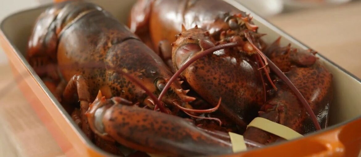 Lobster Thermidor by Chef Ludo Lefebvre