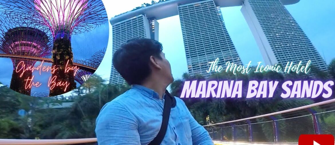 A Momentary View Of The Marina Bay Sands And The Gardens By The Bay | The Silent Observer