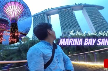 A Momentary View Of The Marina Bay Sands And The Gardens By The Bay | The Silent Observer