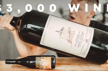 Crispy Duck with $3,000 Red Wine Sauce