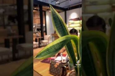 Dubai | one of the best french restaurant in dubai greek | #dubai #french #food #foodblogger #love