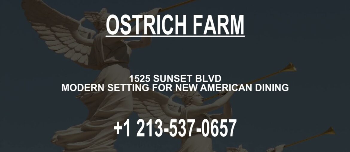 Best Fish Farm in Los Angeles Best Fish Farm in Los Angeles