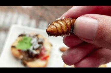 Insect fine dining in Bangkok