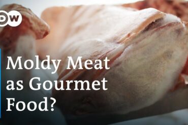 Would You Eat Gourmet Meat With Mold? | Food Trend From Switzerland | DW Food