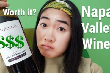 Why is Napa Wine Good and Expensive? Learn about Napa Valley Wines from a Wine Expert