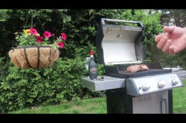 AMORONE DELLA VALPOLICELLA D.O.C.G. MONTRESOR. ITALIAN WINE REVIEW.