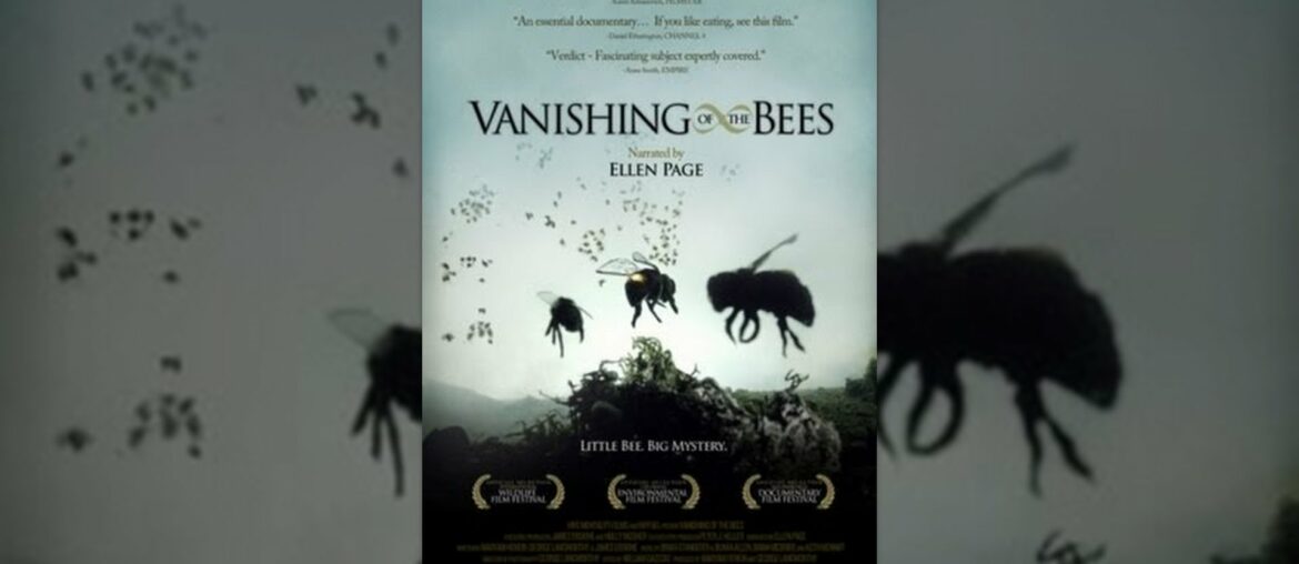 Vanishing of the Bees